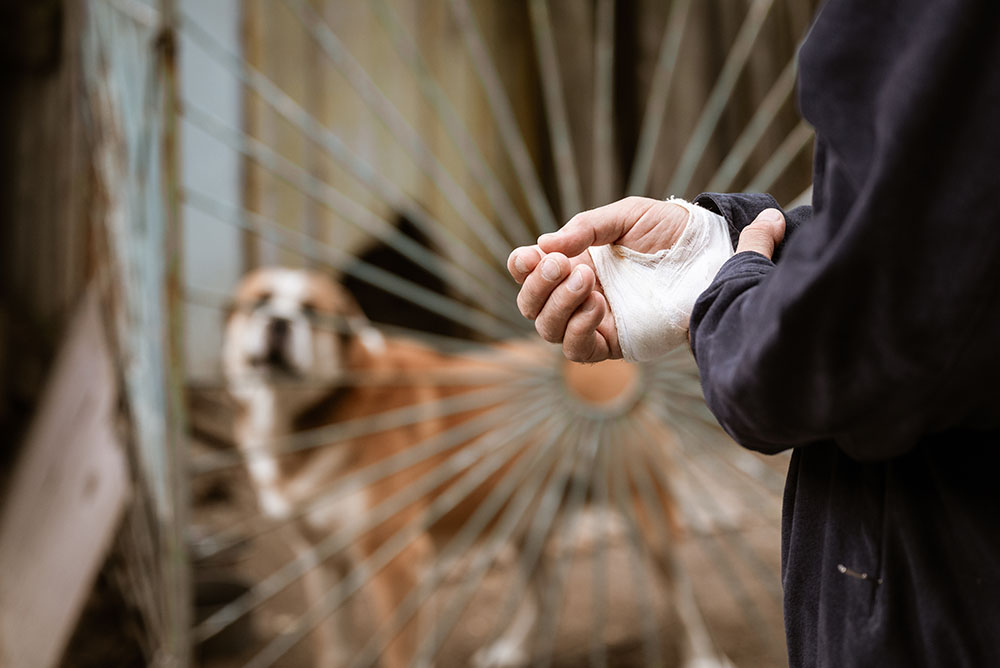 Understanding Dog Bites and Personal Injury Cases